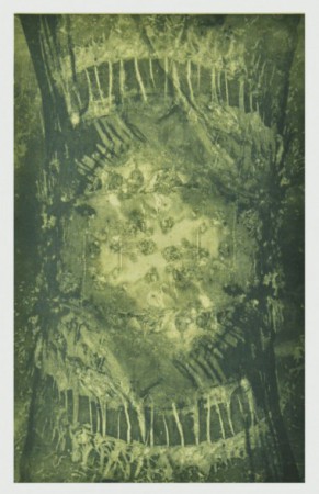 "Palm 2" - Fotopolymer