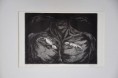 /album/graphic-prints/lygodactylus2-webnode-jpg/