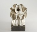 /album/sculpture-ceramics/frilledneckwebb3-jpg/