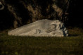 /album/sculpture-ceramics/thumbnail-img-3-1734174077307-jpg/