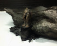 /album/sculpture-ceramics/thumbnail-img-8-1734174154324-jpg/
