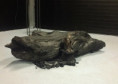 /album/sculpture-ceramics/thumbnail-img-9-1734174164978-jpg/